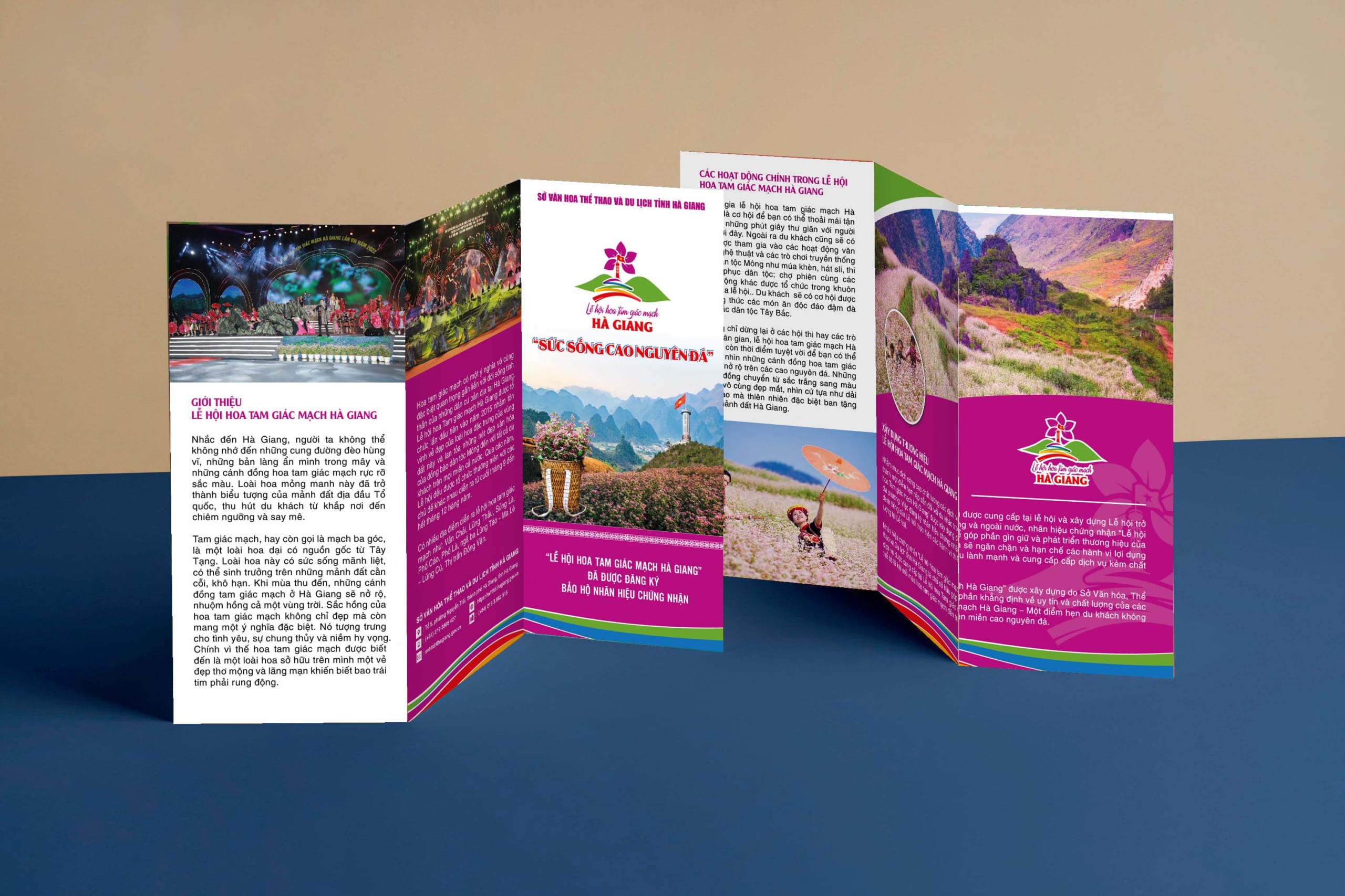 MH BROCHUE LH HOA TAM GIÁC MẠCH HÀ GIANG