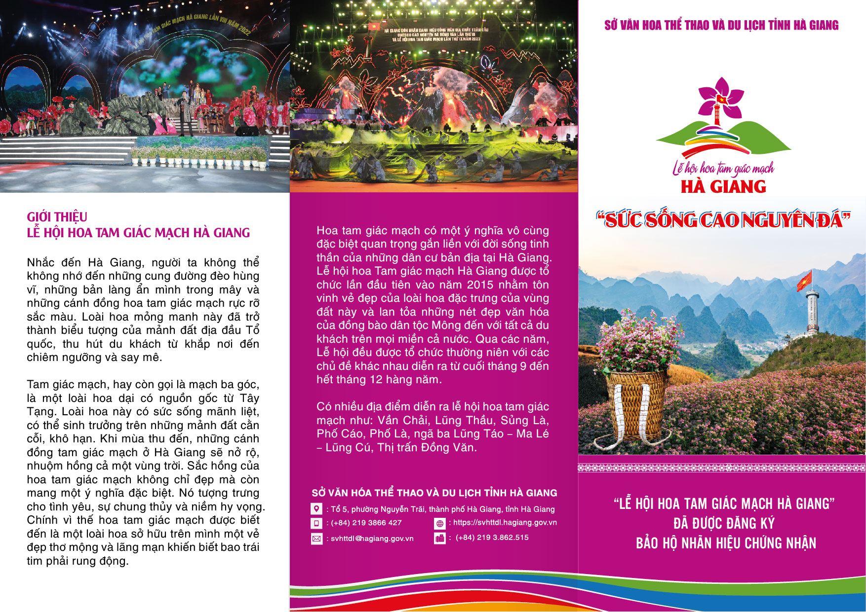 TỜ RƠI LH HOA TAM GIÁC MẠCH HÀ GIANG-01